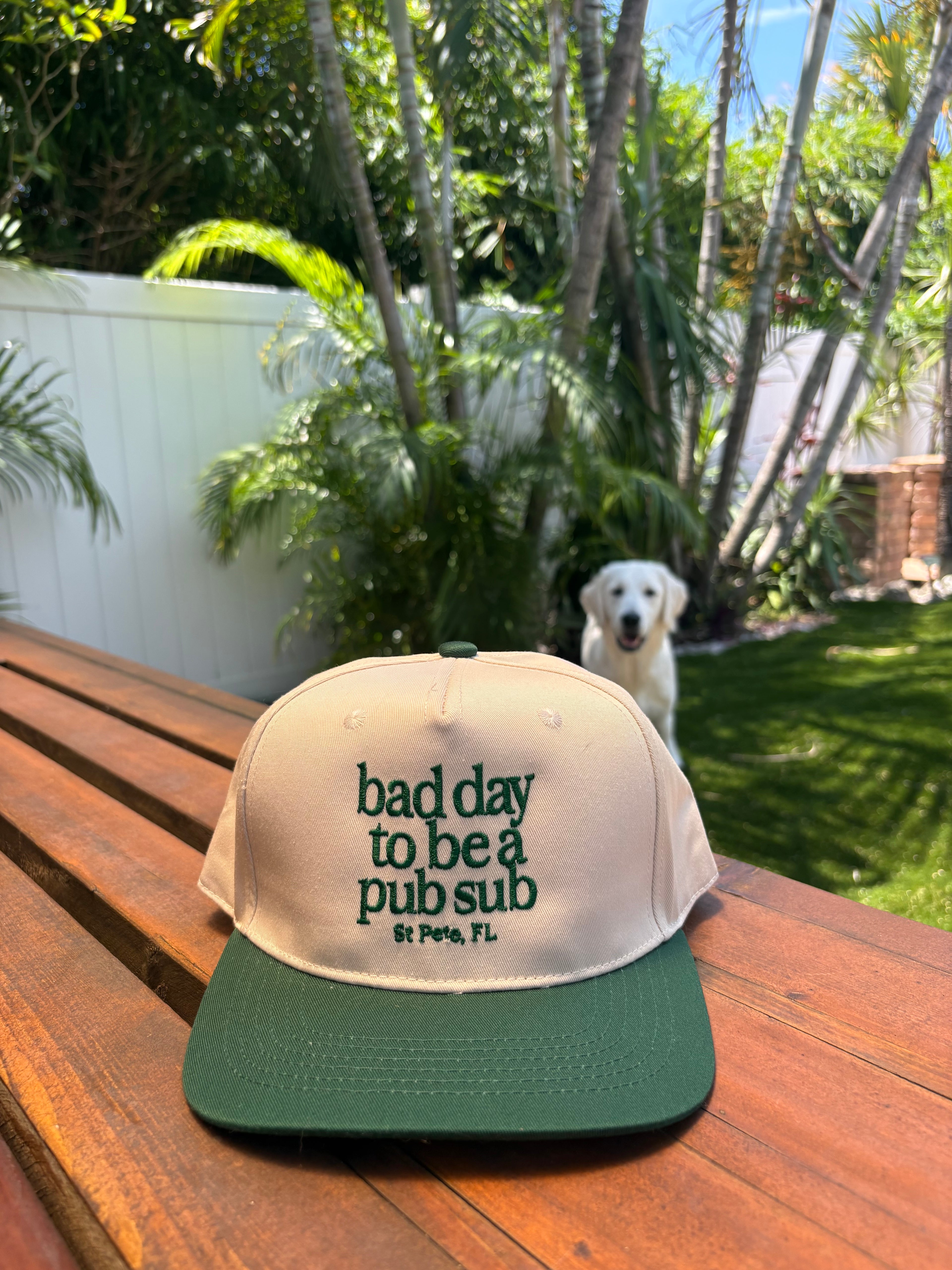 Bad Day St. Pete